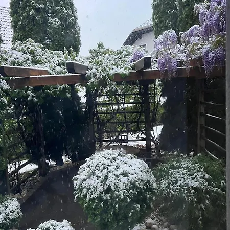 Pleasant Апартаменты