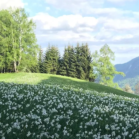 Appartamento Pleasant *