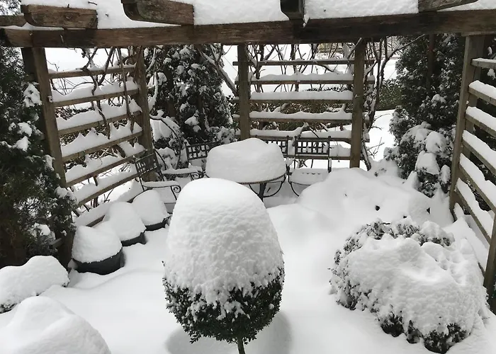 Pleasant Lejlighed *