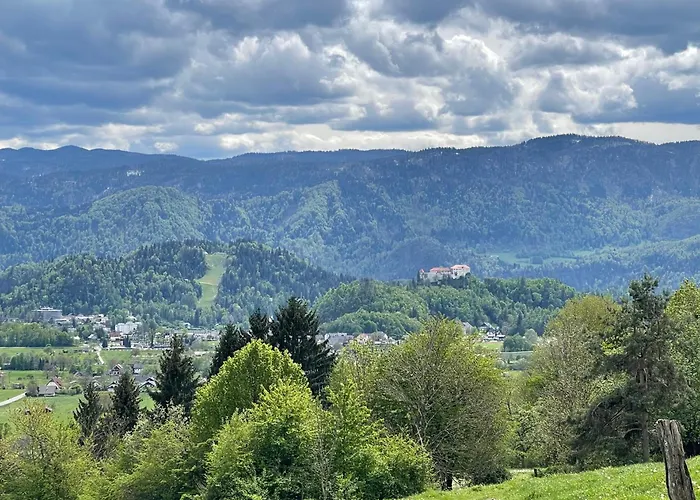 Pleasant アパート *