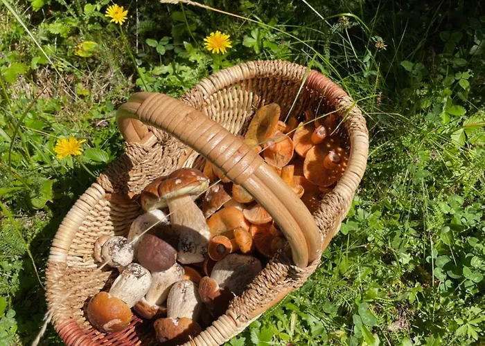 アパート Pleasant ブレッド