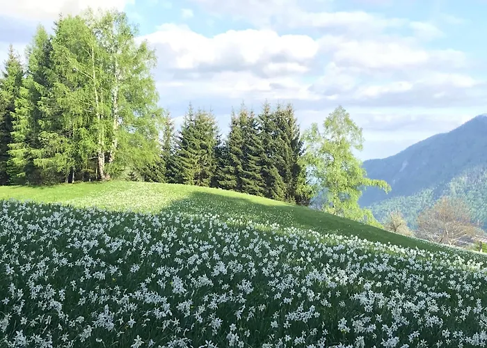 アパート Pleasant *